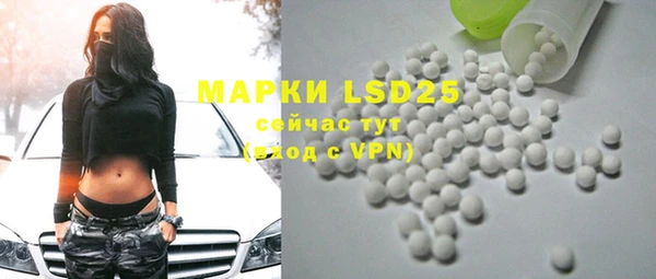 mdpv Бородино