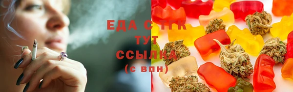 ПСИЛОЦИБИНОВЫЕ ГРИБЫ Богданович