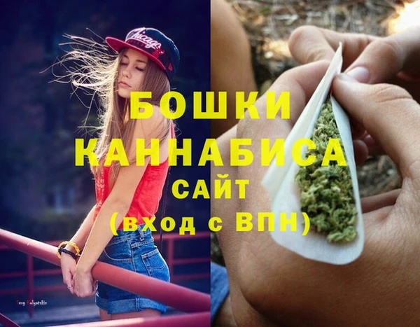 mdpv Бородино