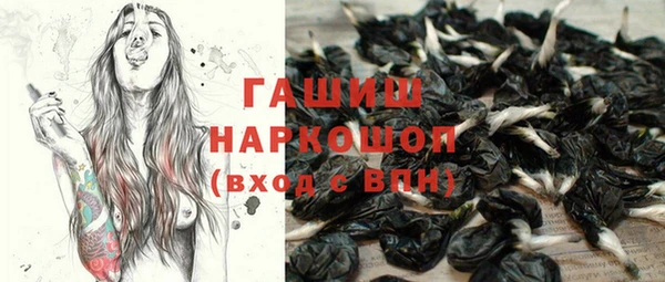 mdpv Бородино